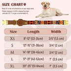 AirTag Dog Collar for Small Medium Large Breed - Image 4