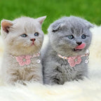 Cat Collars Breakaway Cat Collar - Image 5