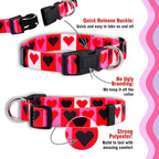 Native Pup Valentine’s Dog Collar- Valentines Day Pet Collars- Valentine Girly - Image 4