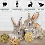 SunGrow Assorted Rabbit Chew Balls, Teething Activity Toy - Image 6