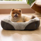 Bedsure Washable Dog Bed Small Dog＆Cat- Rectangle Fluffy Plush Kitten Puppy Bed - Image 8