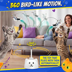 Interactive Cat Toys for Indoor Cats - Image 7