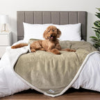 PetAmi Waterproof Dog Blanket for Medium Large Dog Puppy Cat Throw for Couch - Image 7