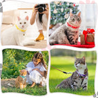 Yunsailing 24 Pcs Cat Collars - Image 6