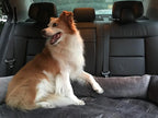 Brilliant Sunshine Premium Calming Dog Bed Mat, Silky Velvet, Removable - Image 7