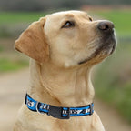 New & Improved Pets First NFL Licensed PET Collar- Heavy-Duty, and Durable New - Image 5