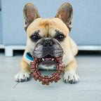 Nylabone Textured Ring Power Chew Toy - Image 6