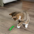 Petstages Orkakat Wiggle Worm Dental Catnip Cat Chew Toy - Image 8