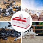 Plastic Foldable Pigeon Carrier Cage, Racing Pigeon Carrier Box - Image 7