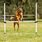 Midlee Dog Agility Bar Jumps- Set of 4 Jumps - Image 5