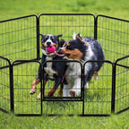 NEWBULIG Dog Playpen 8 Panels 32" Height Foldable Heavy Duty Metal Dog Exercise - Image 7