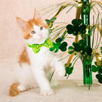 2 Pack St. Patrick's Day Cat Collars - Image 4