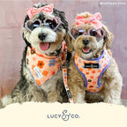 Lucy & Co. Purple with Coral Floral Wave, Cute Reversible Dog Harness Walking - Image 5