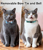 Joytale Upgraded Cat Collar - Image 2