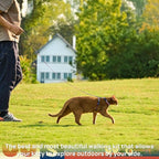 Cat Harness and Leash Set - Image 3