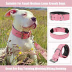 Heavy Duty Tactical Dog Collar - Image 8