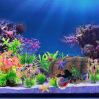 Fish Tank Decoration for Aquarium Tank, Betta Fish Tank Accessories Starfish - Image 4