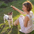 Wildfang® Olive Wood Chewing Sticks - Image 9