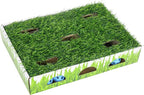 Catstages Grass Patch Hunting Box by Catstages