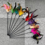 10-Pack Cat Feather Wand Toys - Image 3