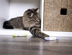 SmartyKat Fish Flop Crinkle Catnip Cat Toys - Image 12
