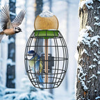 LONA Squirrel Proof Bird Feeding Cage - Image 4