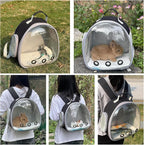 Small Animal Carrier Backpack Space Capsule Bubble Window Carrier Backpack - Image 4