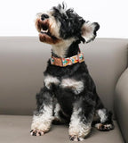 Unique style paws Dog Collar Metal Buckle Orange Collar Gift Durable Cute Collar - Image 3