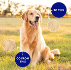 Pat Your Pet Deshedding Dog Brush - Image 9