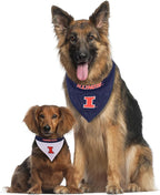 Pets First Collegiate Pet Accessories, Reversible Bandana, Illinois Fighting - Image 5