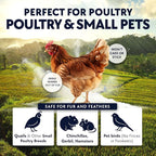 5.5lb Chickie-Whiz Chicken Dust Bath - Image 4