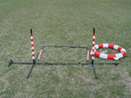 Agility Tire Jump - Image 7
