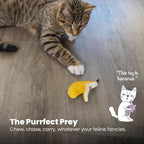 Catstages Petstages Dental Banana Catnip Cat Chew Toy - Image 6