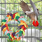 Parrot Swing for Large Birds - Image 7