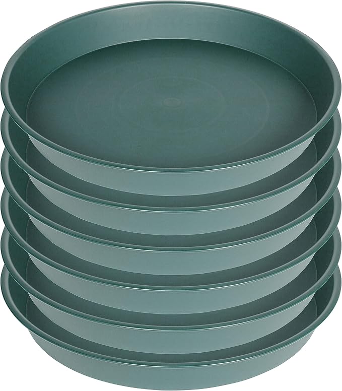 2 Pack of 8 inch Plant Saucer Clear, Heavy Duty Plastic Plant Water Tray 8 inch - Image 8