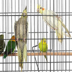 Topeakmart X-Large Parrot Cage Bird Cage - Image 4
