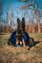 Better Sporting Dogs 16 Foot Dog Agility Tunnel - Image 2