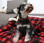 Unique style paws Dog Collar Metal Buckle Gift - Image 5