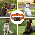 Dog Collar, Classical Indian Spirit Boys Girls Puppy Collar - Image 6