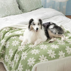 LE SURE Waterproof Dog Blanket for Large Dogs by Lesure