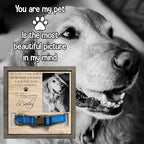 Pet Memorial Gifts Bereavement Gifts Cat Memorial Dog Loss Sympathy Custom Cat - Image 6