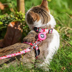 Cat Harness and Leash Escape Proof - Image 6
