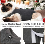 Cat Recovery Suit for Spay Abdominal Wounds, Kitten Onesie Bodysuit for Cats - Image 3