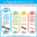 Nylabone Double Action Bone Puppy Chew Toy, Rubber Teething Toys - Image 10
