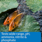 API POND MASTER TEST KIT Pond Water Test Kit 500-Test - Image 4
