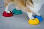 FitPAWS Paw Pods for Dog Agility - Image 2