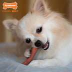 Nylabone Power Chew Classic Bone Chew Toy - Image 2