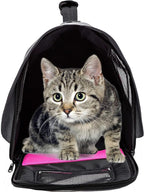 Pawer 18” x 11”x 11” Soft-Sided Foldable Airline Approved Pet Carrier - Image 5