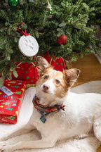Pearhead Pawprints 2-Pack Christmas Ornament, DIY No Mess Pet Paw Print Holiday - Image 9