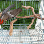 Allazone 4-Piece Bird Perch - Image 8